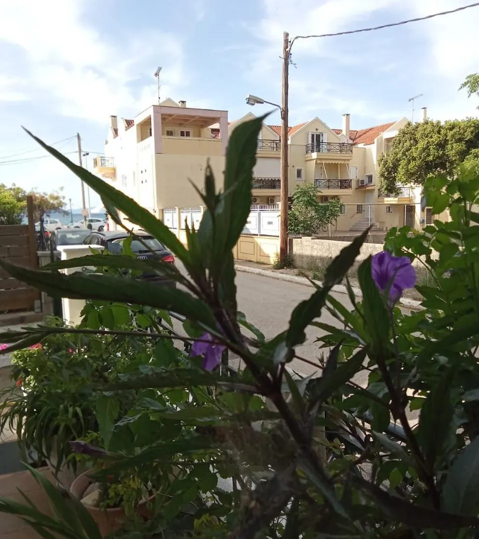 Nostalgia Apartments B Plus In Sami 50 Meters From The Sea